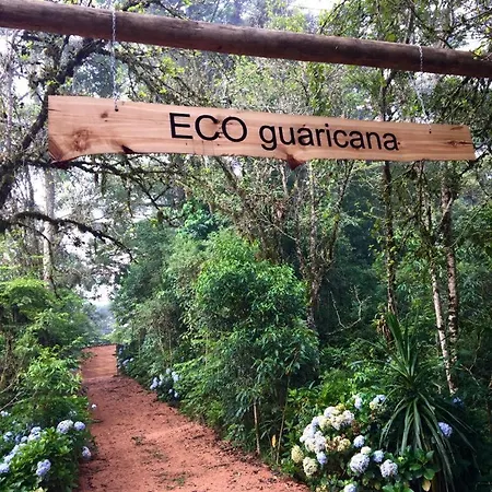 Bosque Conteiner Eco Guaricana São José dos Pinhais Exterior foto