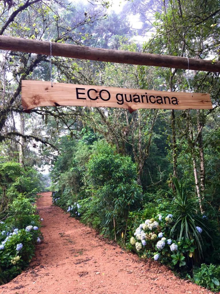 Bosque Conteiner Eco Guaricana Lodge