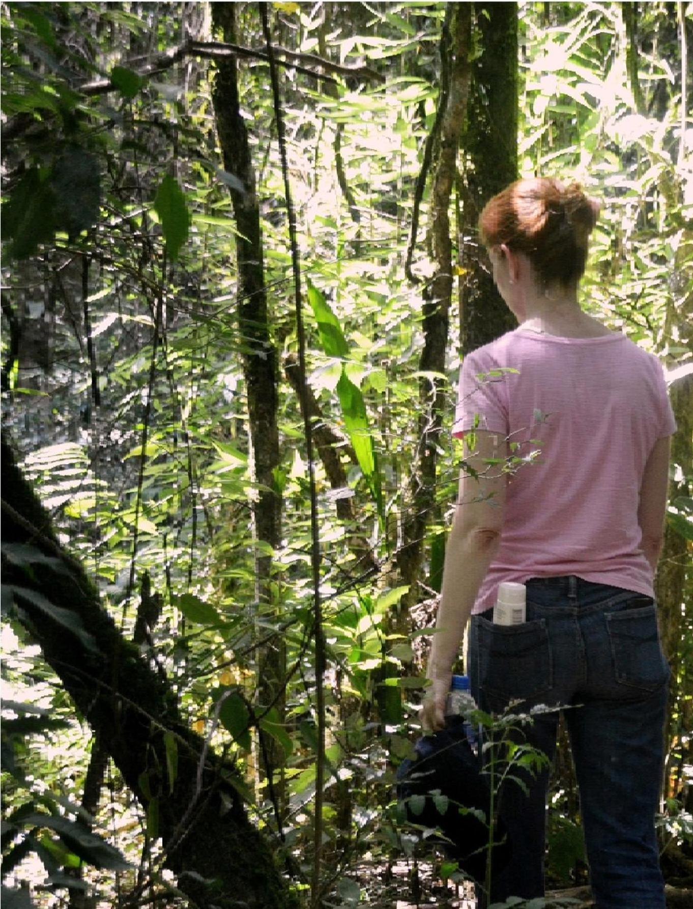 Lodge Bosque Conteiner Eco Guaricana *