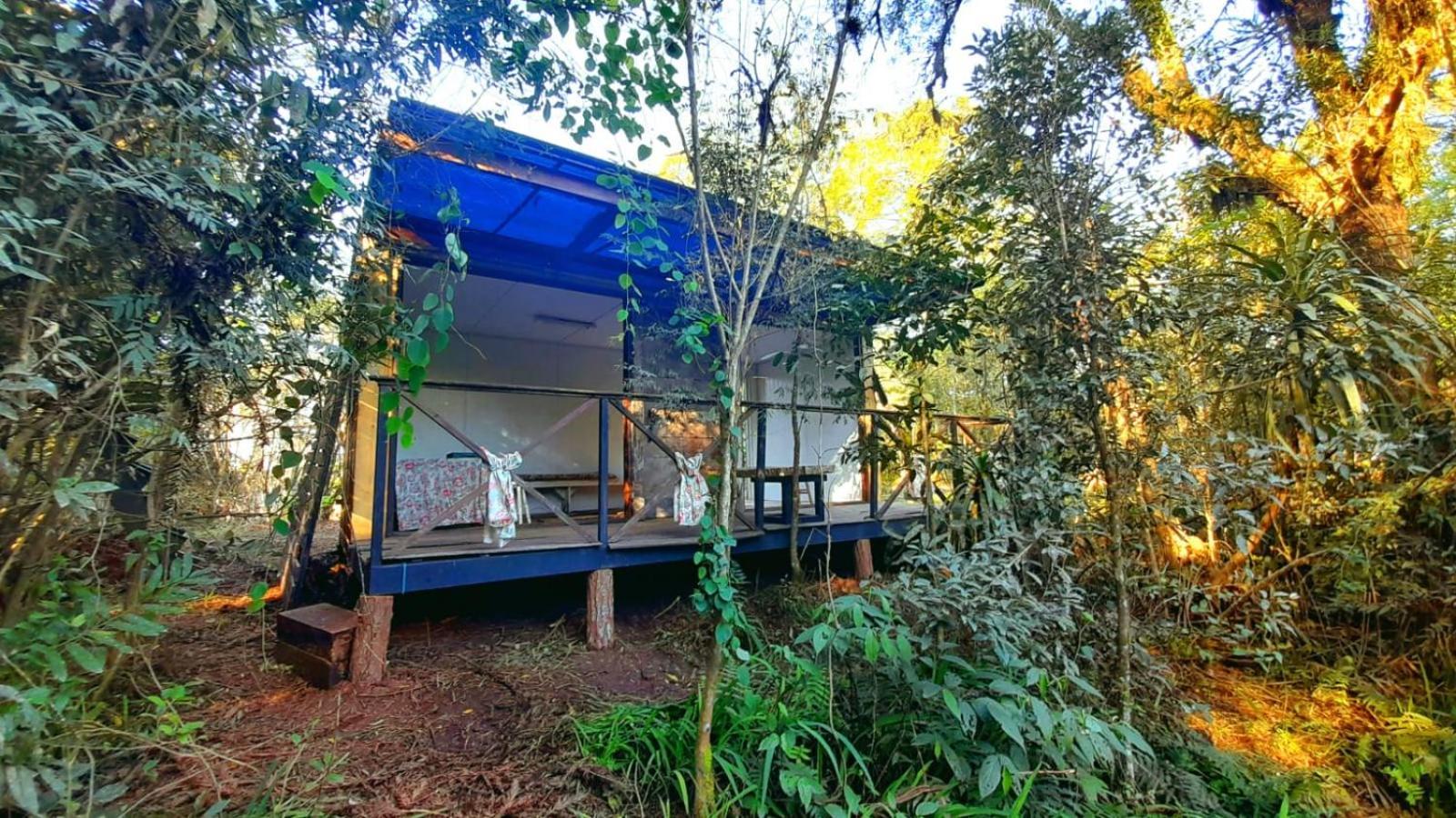 Bosque Conteiner Eco Guaricana Sao Jose dos Pinhais