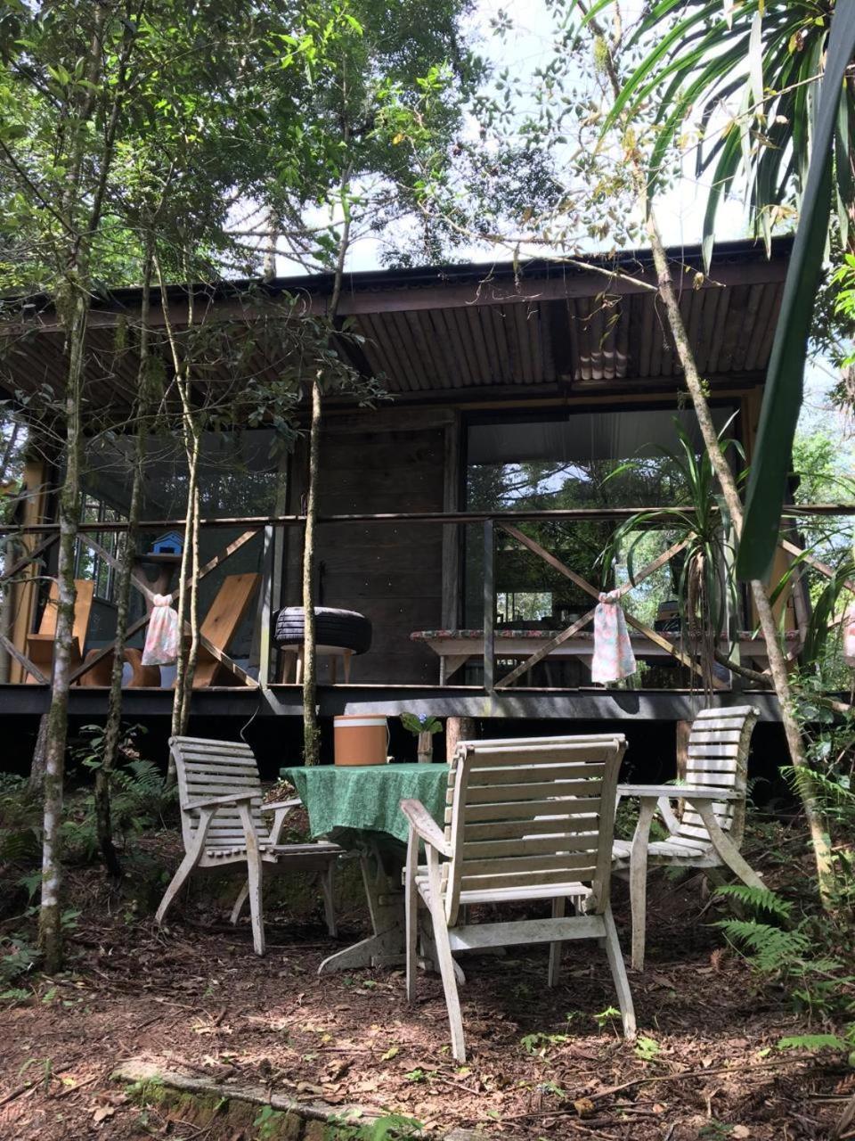 Bosque Conteiner Eco Guaricana Sao Jose dos Pinhais