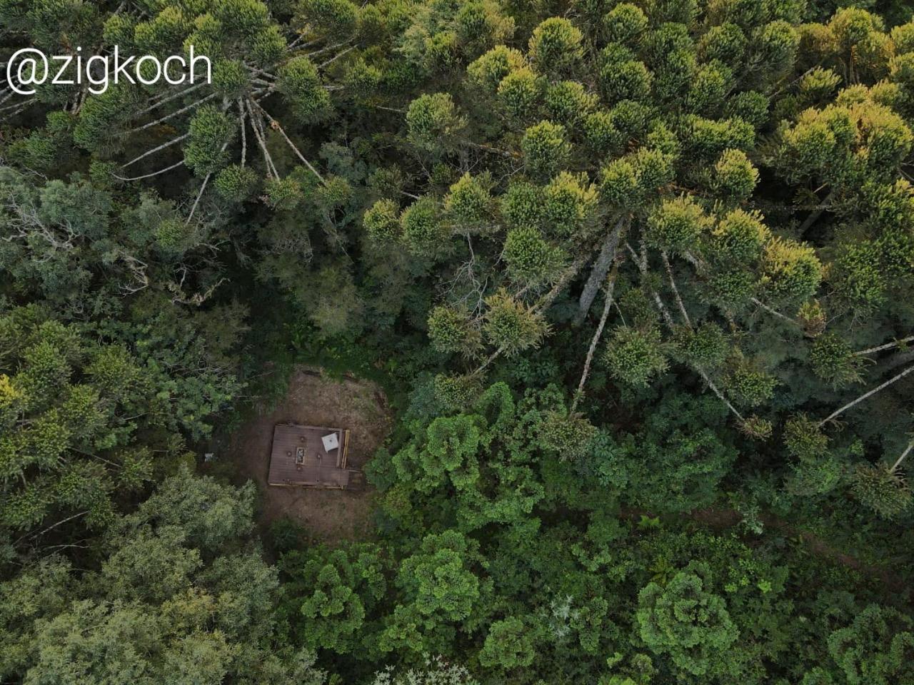 Bosque Conteiner Eco Guaricana Lodge *