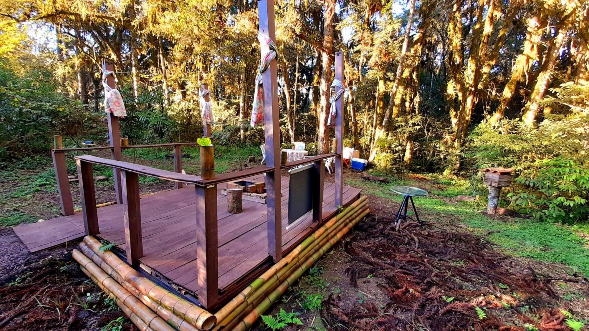 Bosque Conteiner Eco Guaricana Sao Jose dos Pinhais