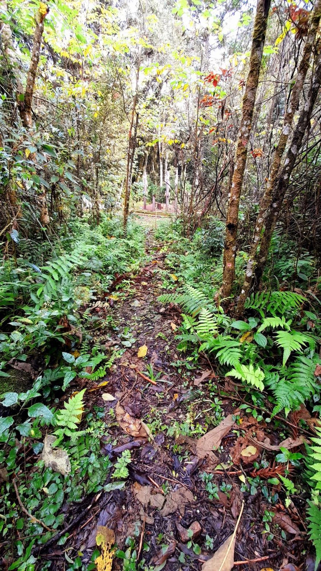 Lodge Bosque Conteiner Eco Guaricana *